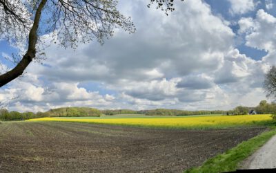 Weyerberg