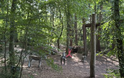 Der Waldspielplatz an der Marcusheide