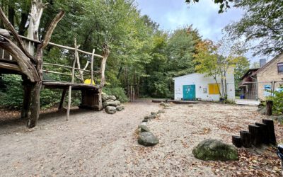 Grünes Licht für den inklusiven Waldspielplatz