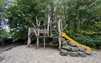 Der inklusive Waldspielplatz – Die Sanierung startet